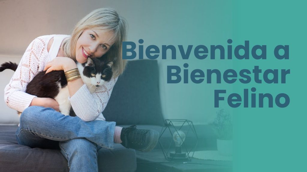 Asesoramiento, educadora y resolución de problemas de conducta de gatos