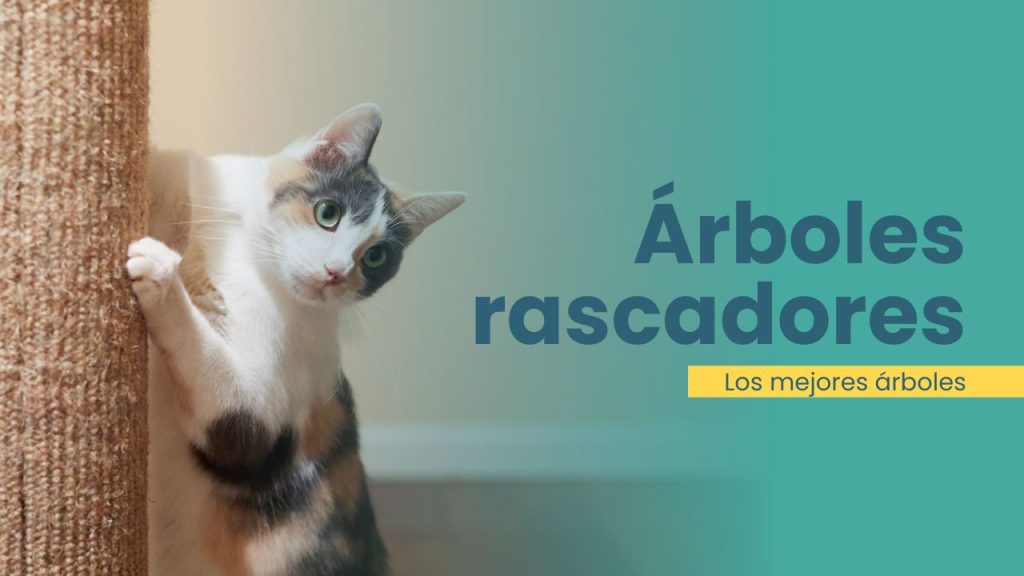 Comprar mejores árboles rascadores gato