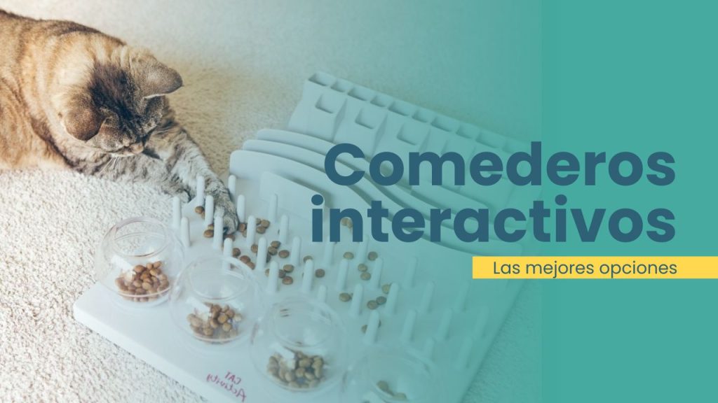 mejores comederos interactivos para gatos