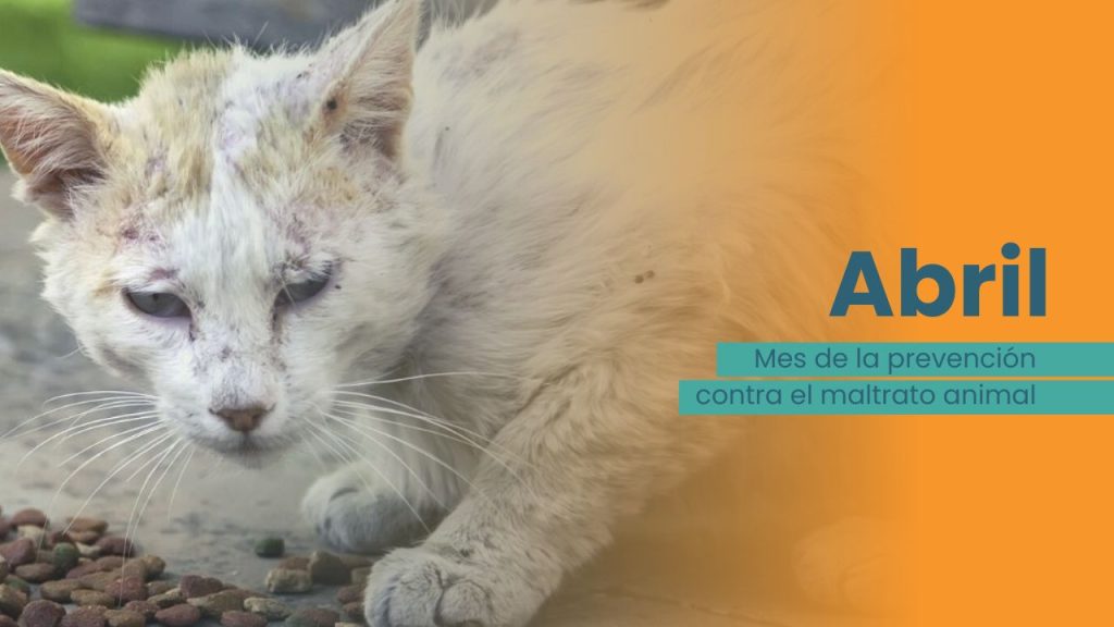 abril mes de la prevención contra el maltrato animal
