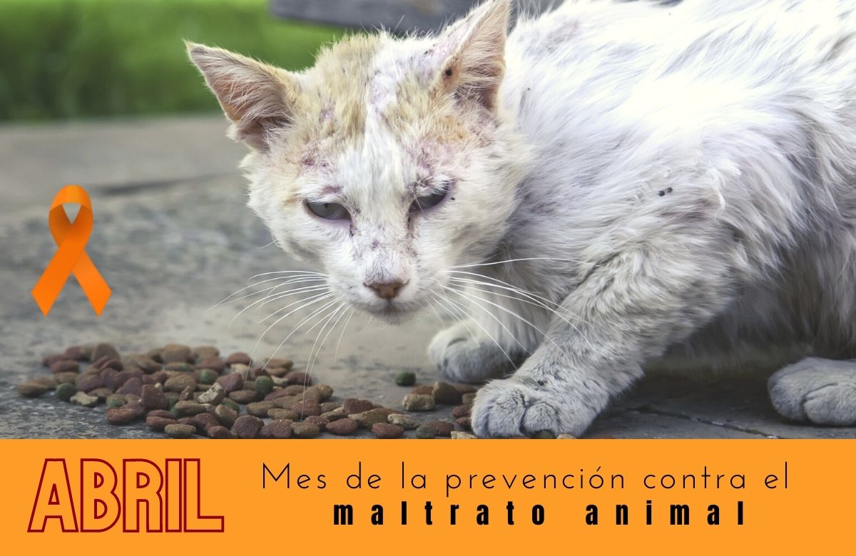 abril mes de la prevención contra el maltrato animal