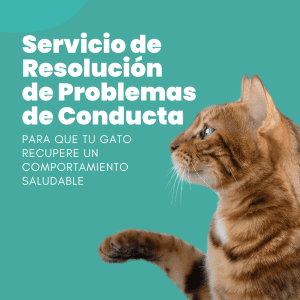 Servicio de Resolución de Problemas de Conducta​