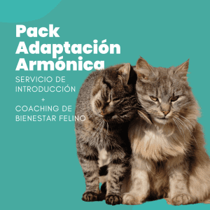 Pack Adopcion armonica