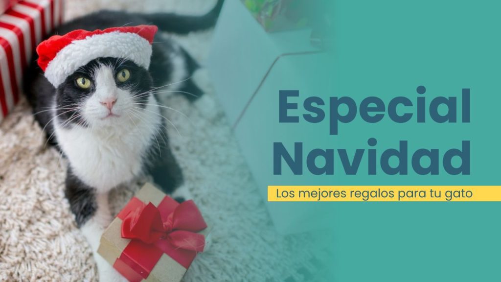 los mejores regalos para gatos 2024