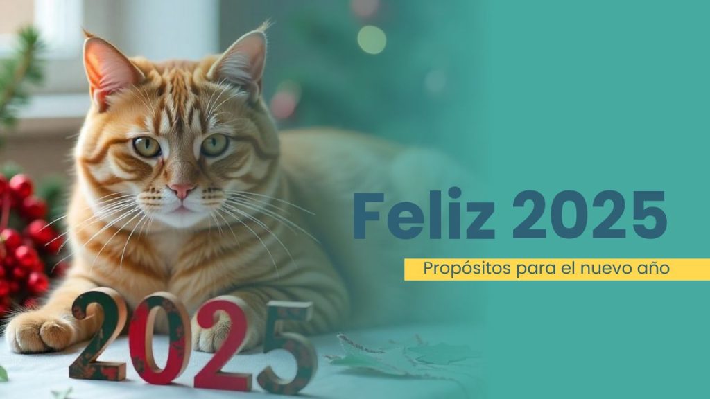 mejorar vida de tu gato