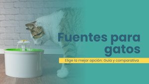 mejores fuentes de agua para gatos
